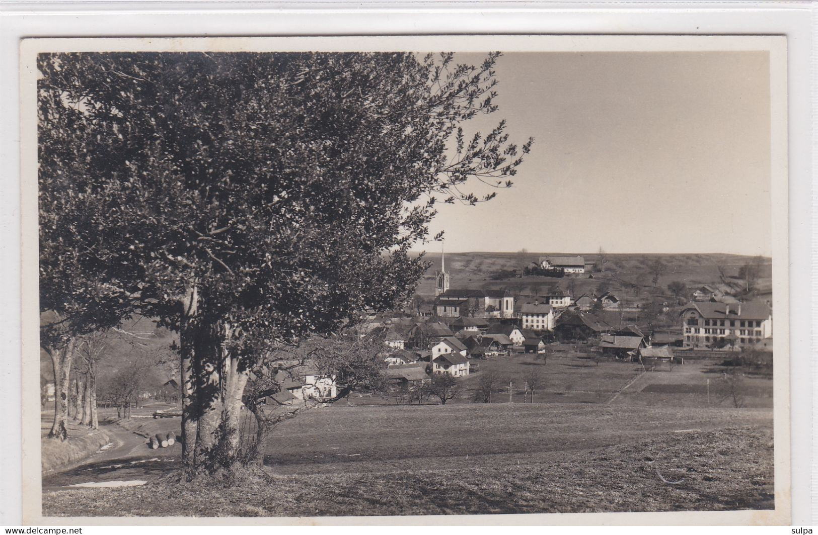 Treyvaux , Vue Partielle. Carte-photo - Autres & Non Classés