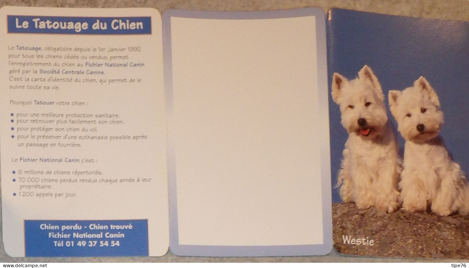 Petit Calendrier De Poche 2000 Chien Westie - St Jean Calendrier - - Petit Format : 1991-00