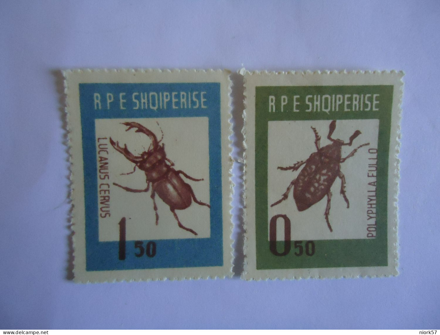 ALBANIA   MNH 4  STAMPS  INSECTS BEATLE - Autres & Non Classés