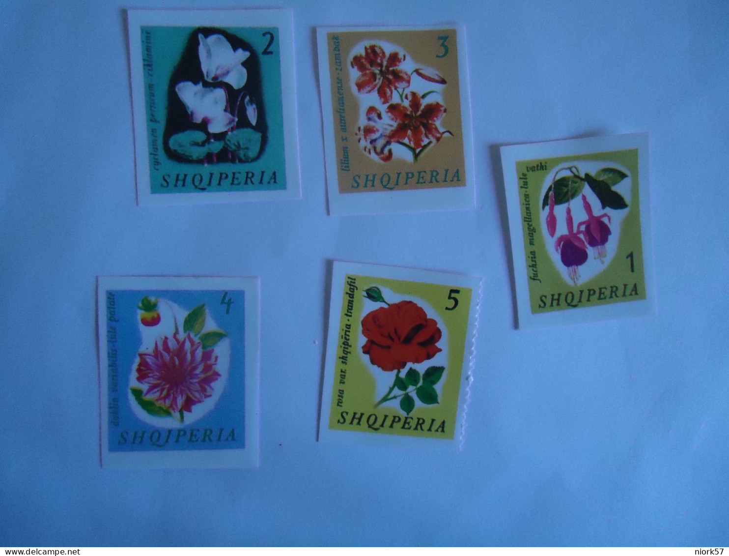 ALBANIA  5  VIGNETTES STAMPS  FLOWERS - Sonstige & Ohne Zuordnung