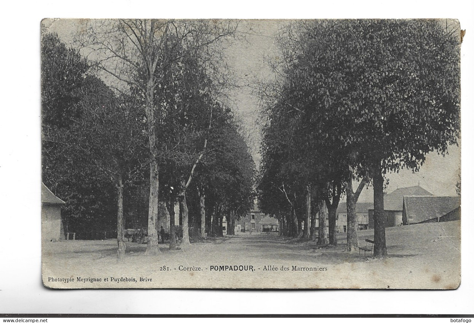 CPA DPT  19 POMPADOUR , ALEE DES MARRONNIERS En 1905! - Arnac Pompadour