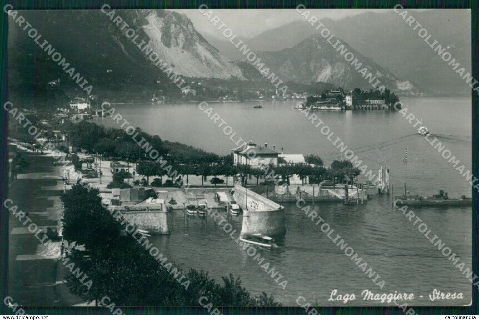 Verbania Stresa Lago Maggiore Foto Cartolina MT0978 - Verbania
