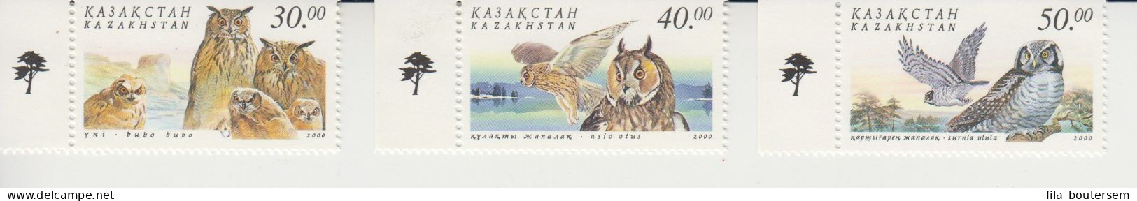 KAZAKHSTAN : 07-06-2001 Birds - Prey Owls - Kazajstán