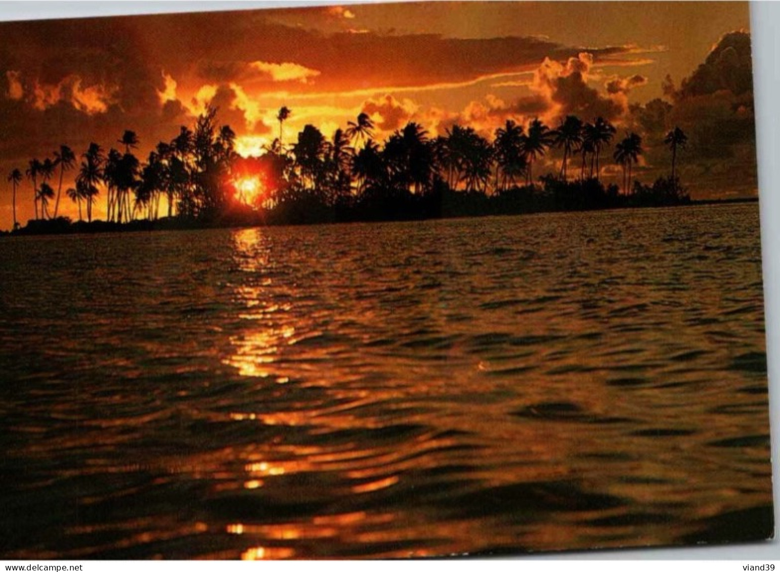 BORA BORA. -  Tout Le Charme Du Pacifique (Motu Tapu).  Photo Erwin. Christian - Polynésie Française