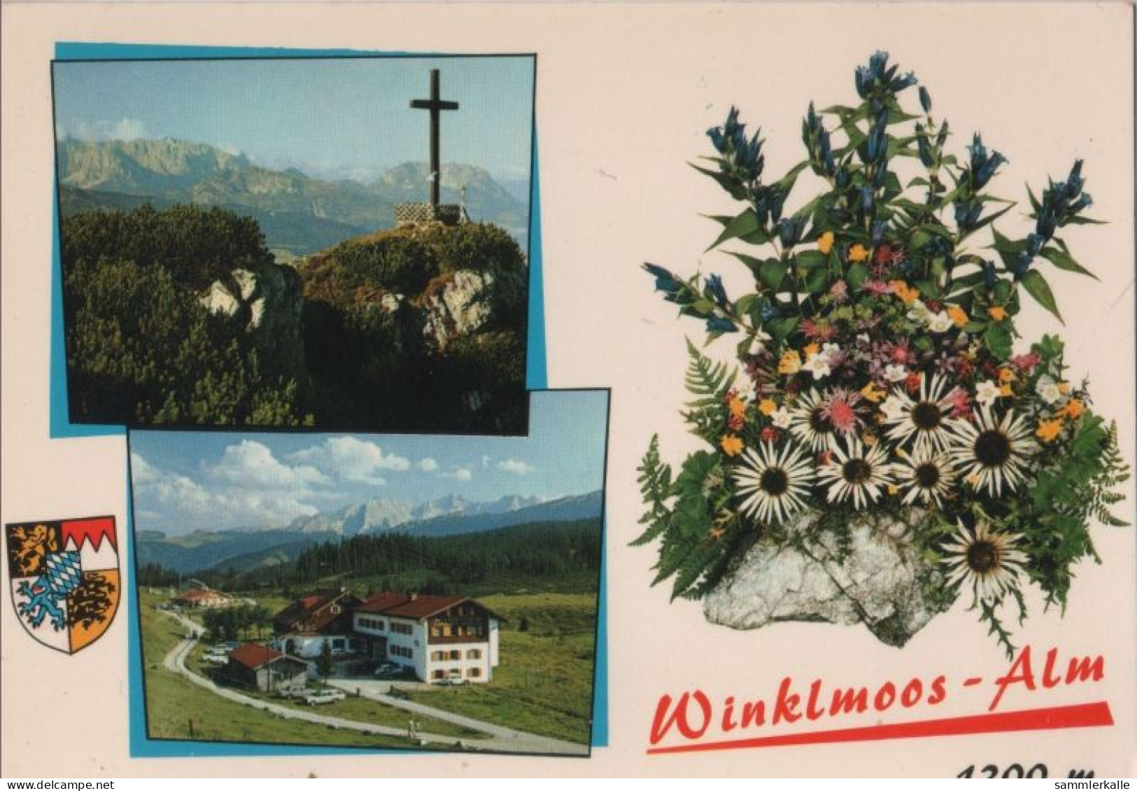 119607 - Reit Im Winkl - Winklmoos-Alm - Reit Im Winkl