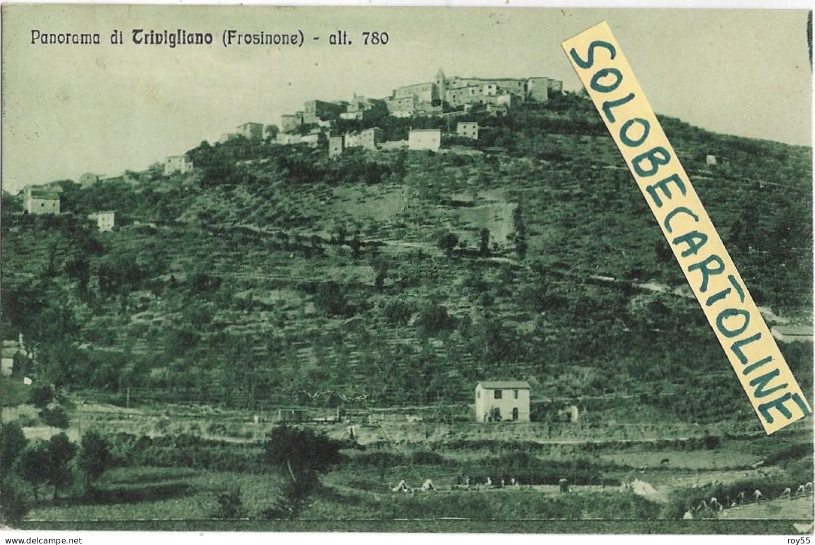 Lazio-frosinone-trivigliano Veduta Panorama Di Trivigliano Fine Anni 20 (f.piccolo/v.retro) - Sonstige & Ohne Zuordnung