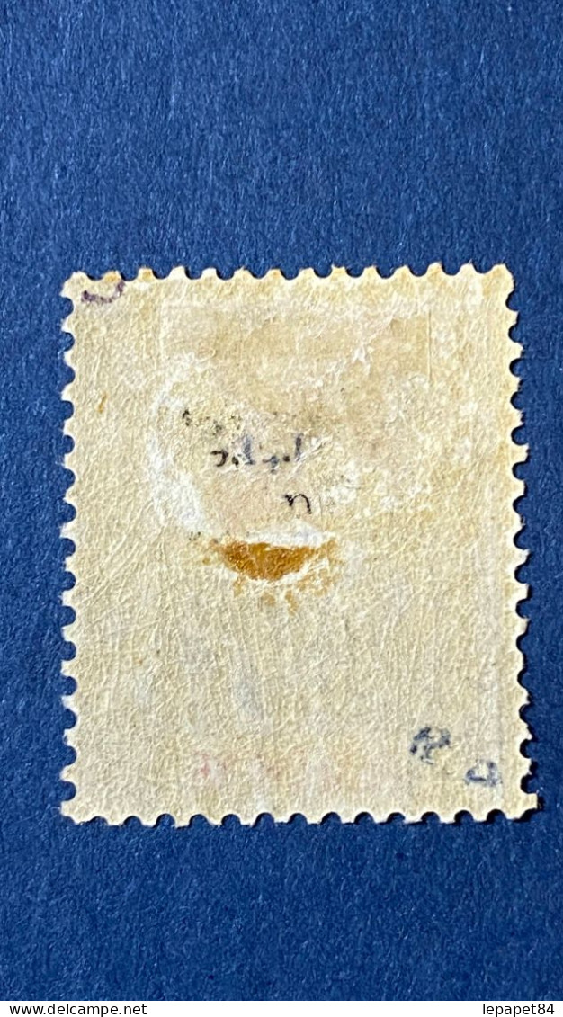 YT N°21 Neuf * - Unused Stamps