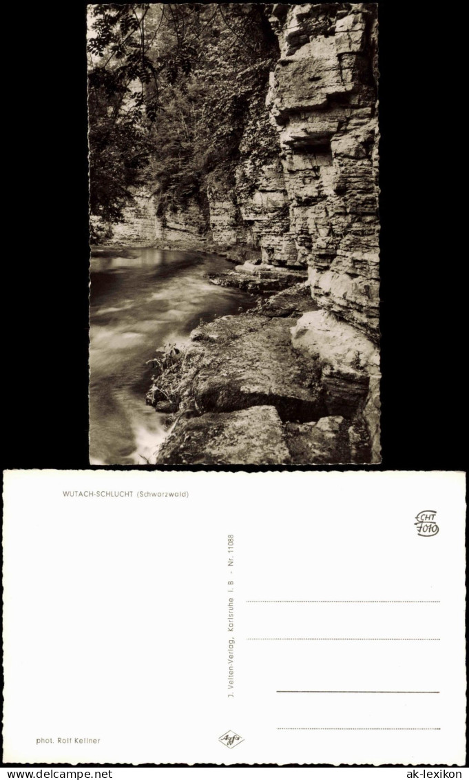 Ansichtskarte Titisee-Neustadt WUTACH-SCHLUCHT Schwarzwald 1964 - Titisee-Neustadt