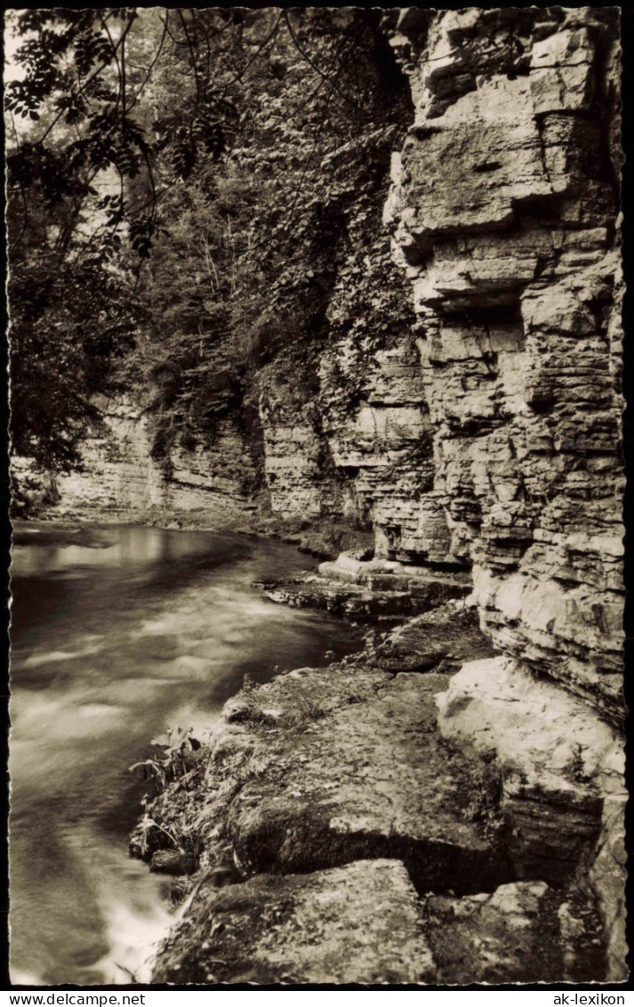 Ansichtskarte Titisee-Neustadt WUTACH-SCHLUCHT Schwarzwald 1964 - Titisee-Neustadt