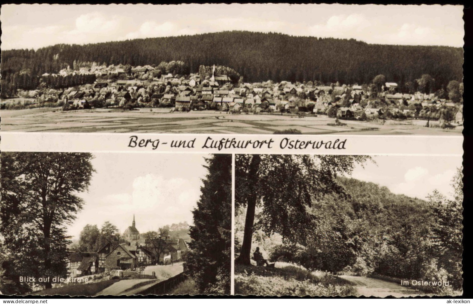 Ansichtskarte Osterwald Kr. Hameln 3 Bild Kirche, Osterwald, Totale 1961 - Autres & Non Classés