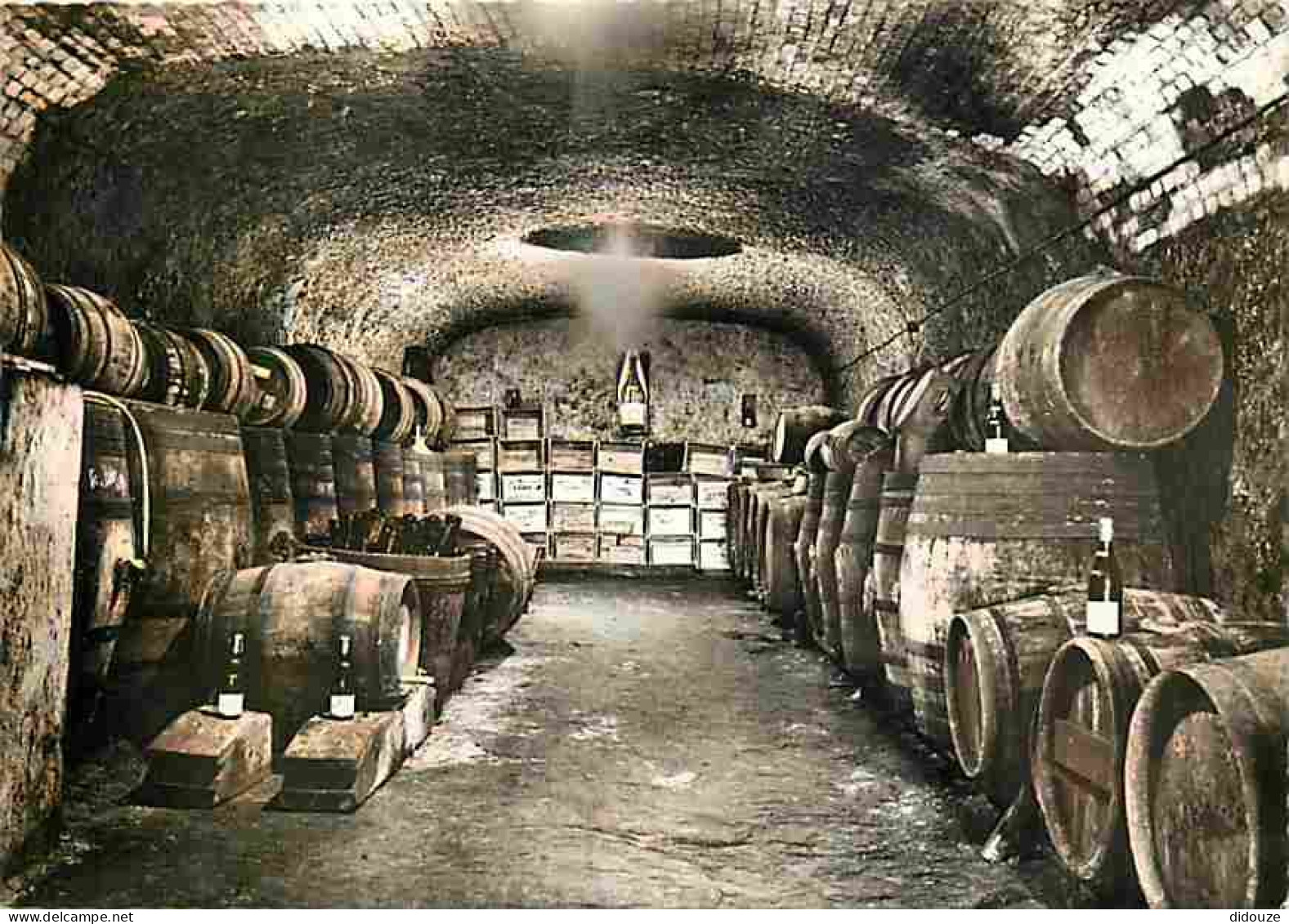 Vignes - En Touraine - Intérieur De Cave - Bouteille De Vin - Carte Neuve - CPM - Voir Scans Recto-Verso - Vignes