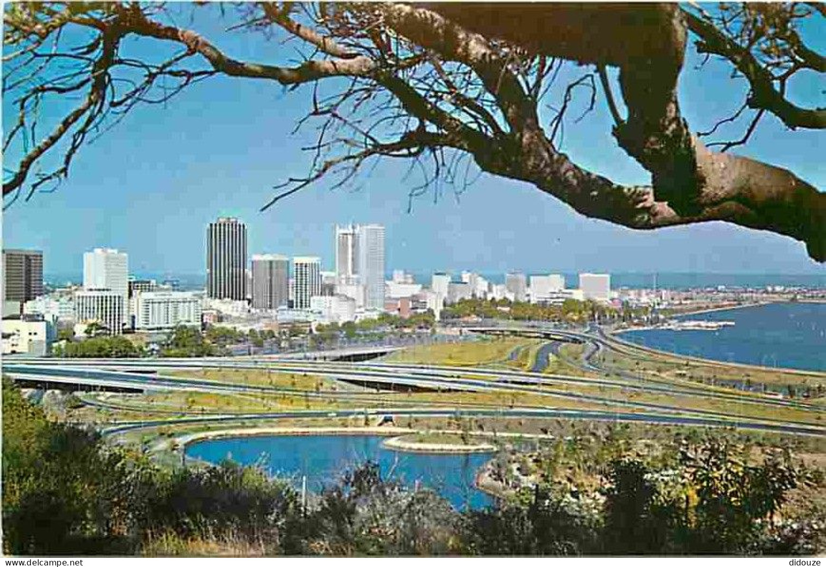 Australie - Perth On The Swan River From Kings Park - CPM - Voir Scans Recto-Verso - Sonstige & Ohne Zuordnung