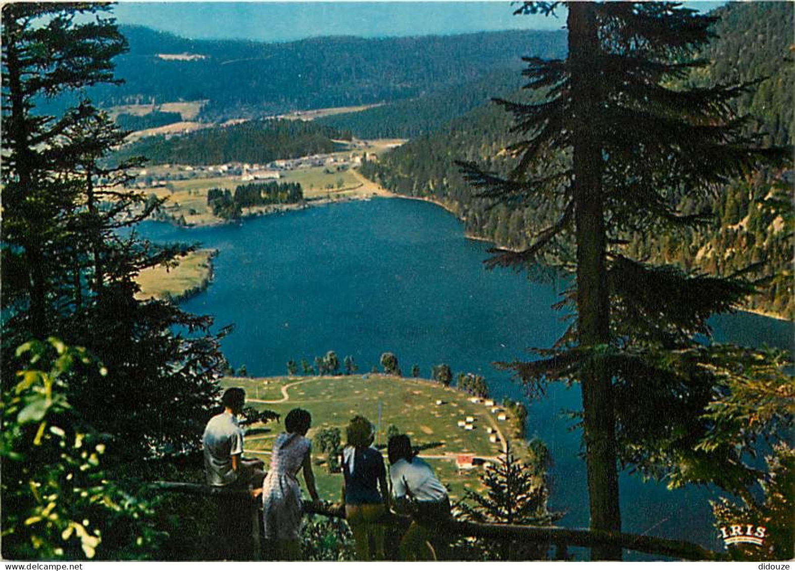 88 - Xonrupt-Longemer - Le Lac De Longemer Depuis La Roche Des Vieux Chevaux - Carte Neuve - CPM - Voir Scans Recto-Vers - Xonrupt Longemer