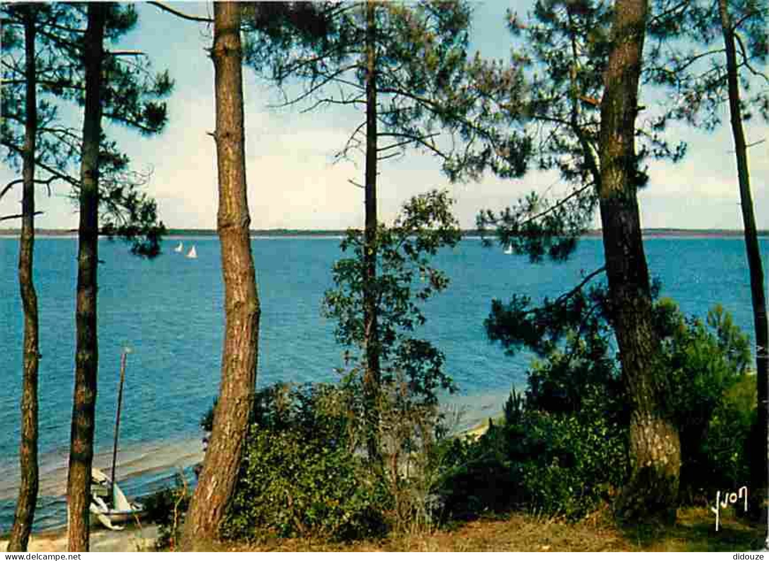 33 - Lacanau - Le Lac De Lacanau - Vue Des Pins  - CPM - Voir Scans Recto-Verso - Other & Unclassified