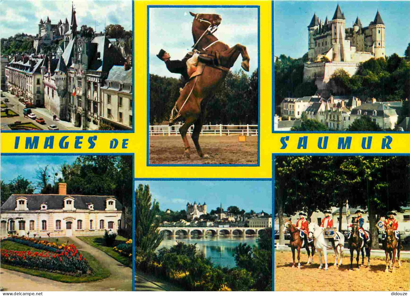 Animaux - Chevaux - Saumur - Ecole Nationale D'Equitation Le Cadre Noire - Multivues - Horses - Pferde - CPM - Carte Neu - Paarden