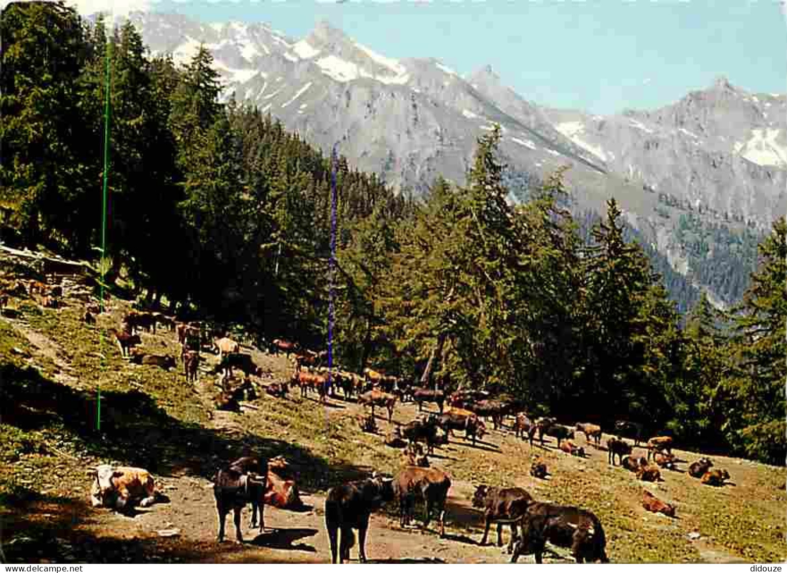 Animaux - Vaches - Suisse - Alpages D'Ovronnaz - Carte Neuve - CPM - Voir Scans Recto-Verso - Cows