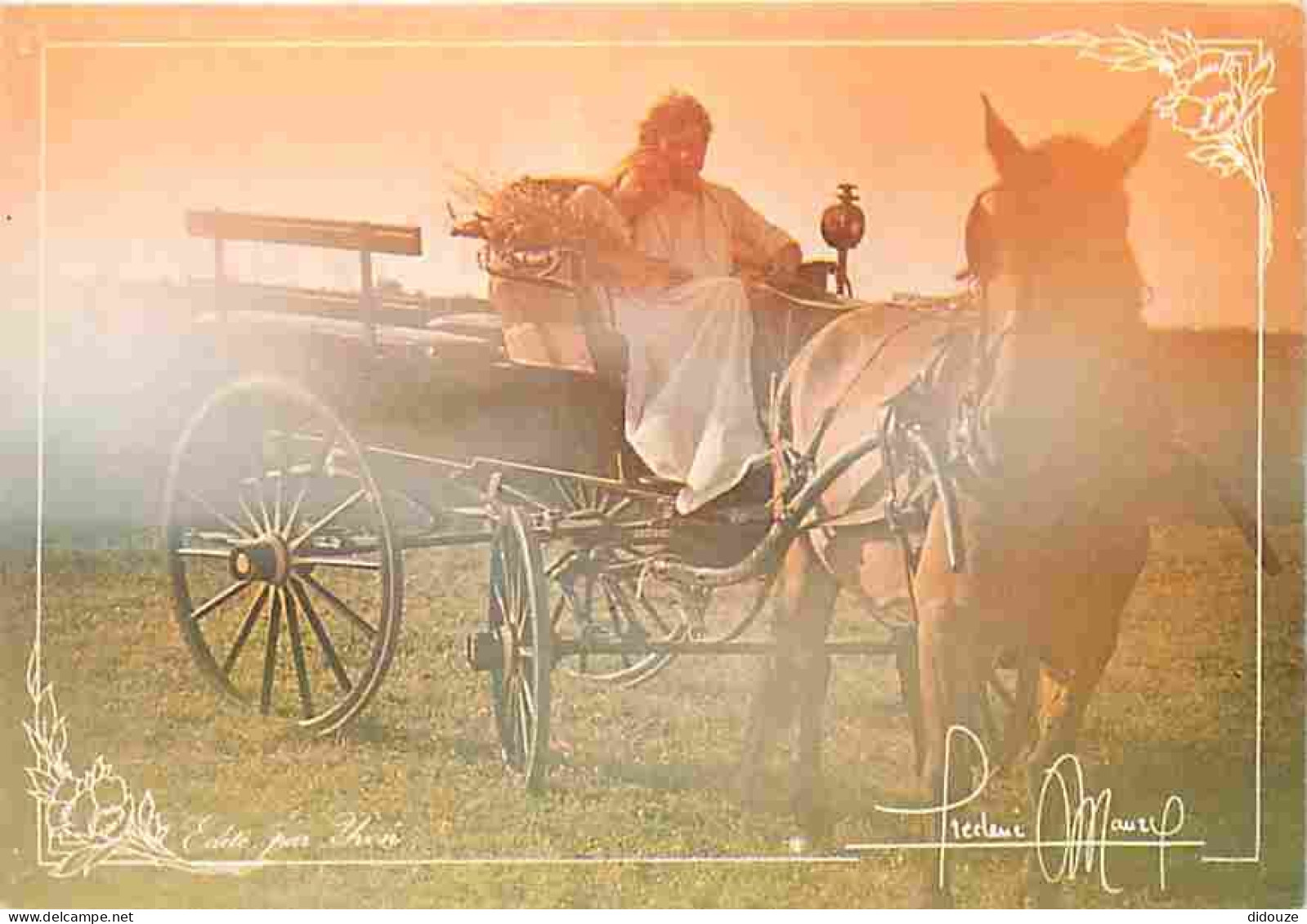 Animaux - Chevaux - Collection Regards De Frédéric Maury - Calèche - Couple - CPM - Voir Scans Recto-Verso - Paarden