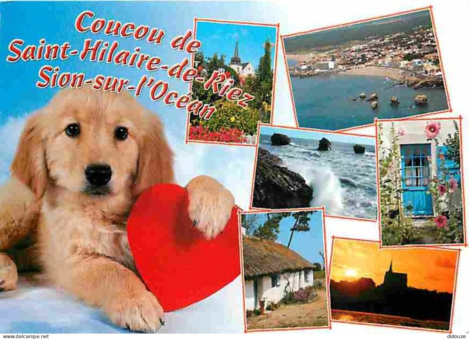 Animaux - Chiens - St Hilaire De Riez - Sion Sur L'Océan - Multivues - CPM - Voir Scans Recto-Verso - Chiens