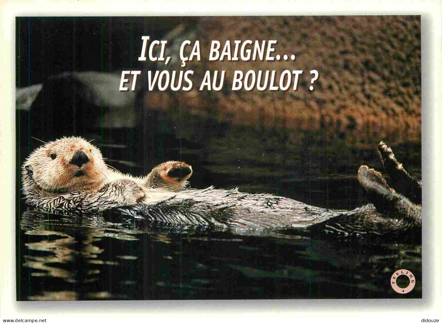 Animaux - Loutre - Carte à Message - CPM - Carte Neuve - Voir Scans Recto-Verso - Autres & Non Classés