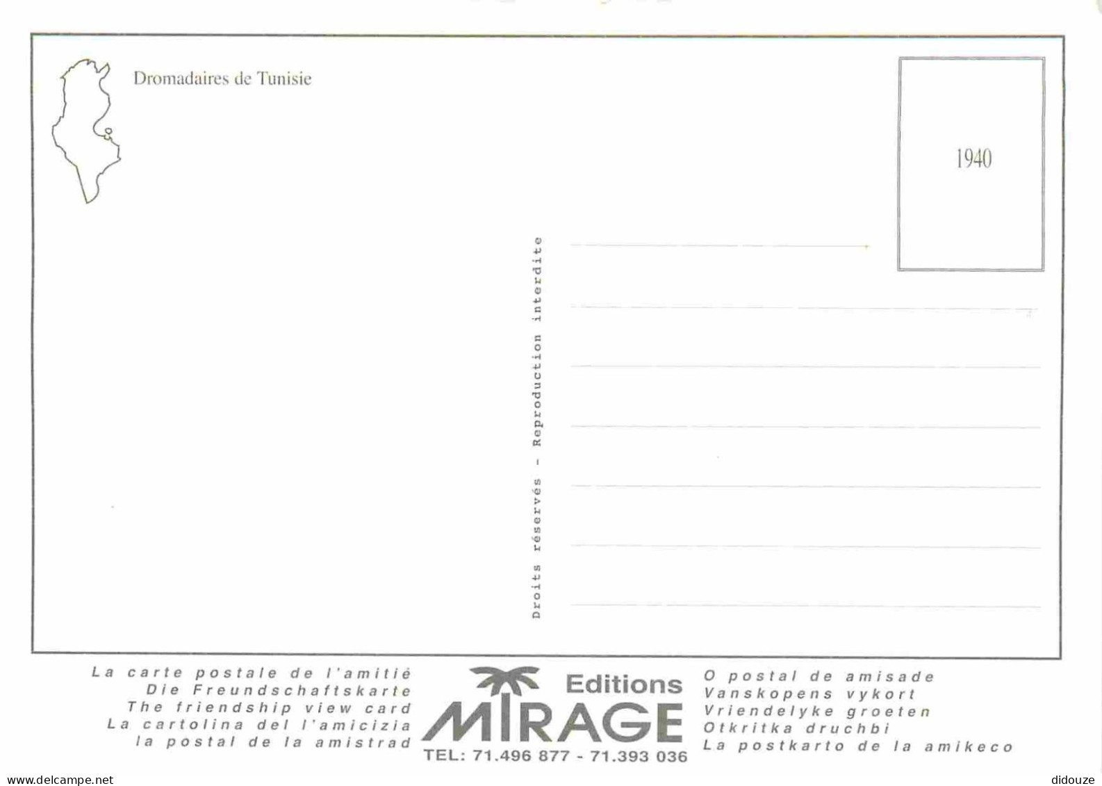 Animaux - Camélidés - Tunisie - Dromadaires De Tunisie - CPM - Voir Scans Recto-Verso - Autres & Non Classés