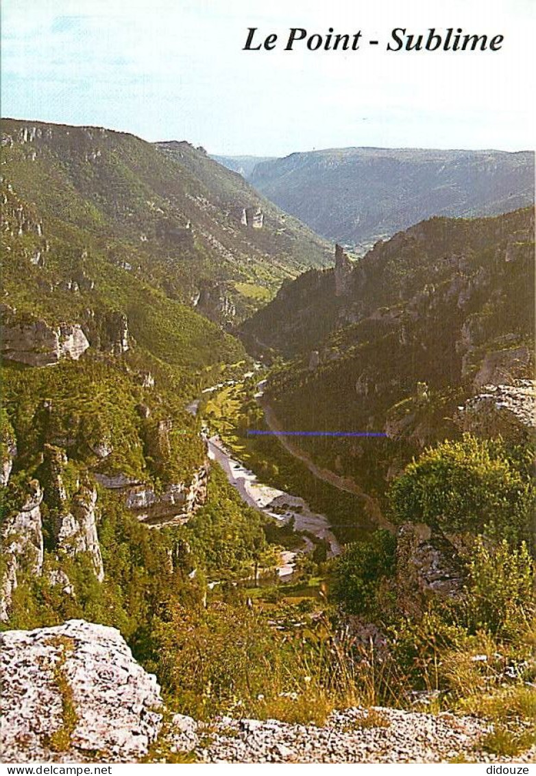 48 - Les Gorges Du Tarn - CPM - Voir Scans Recto-Verso - Gorges Du Tarn