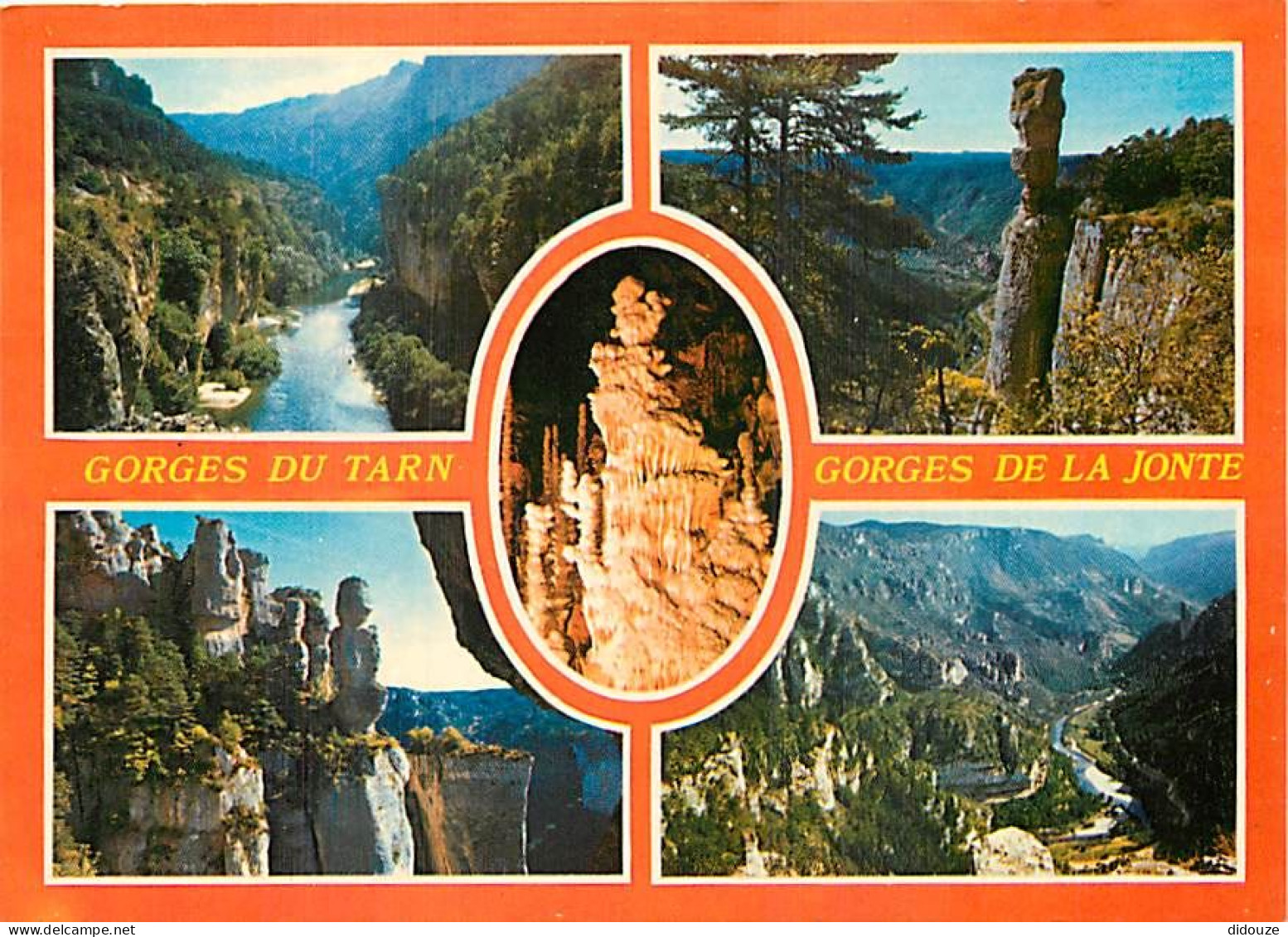 48 - Les Gorges Du Tarn - CPM - Voir Scans Recto-Verso - Gorges Du Tarn