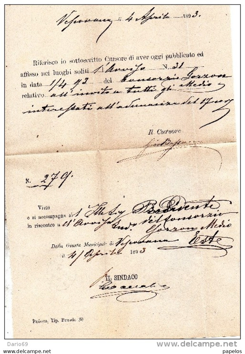 1893   LETTERA CON ANNULLO  VESCOVANA PADOVA - Poststempel