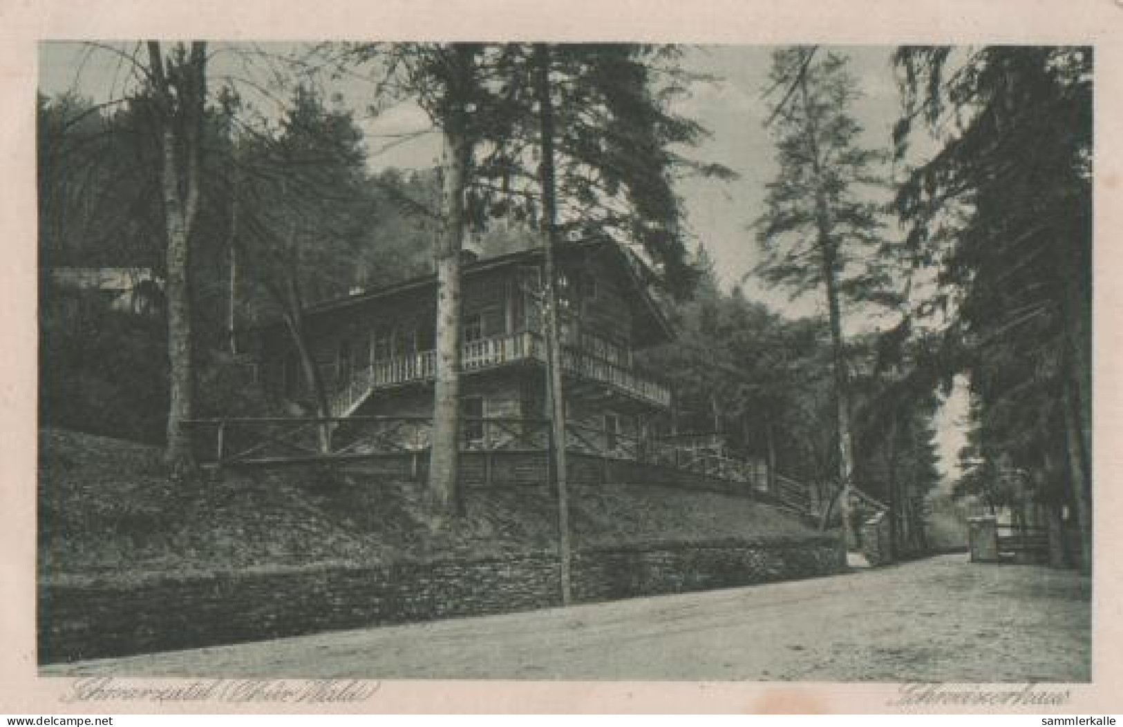 17749 - Schweizerhaus Im Schwarza-Tal - 1925 - Schmalkalden