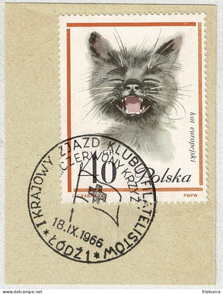 Polen / Polska 1966, Briefmarke Kot Europejeski / Europäische Katze / Chat / Cat - Chats Domestiques