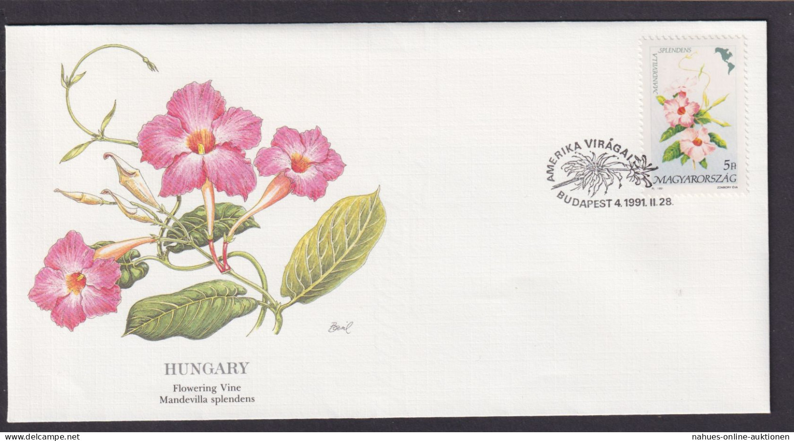 Ungarn Flora Blumen Kletterpflanze Schöner Künstler Brief - Storia Postale