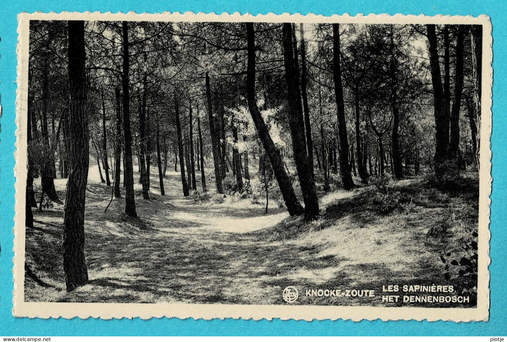 * Knokke Zoute - Knocke Le Zoute (Kust - Littoral) * (Nels, Ern Thill Phototon, Nr 30) Les Sapinières, Bois, Bos - Knokke