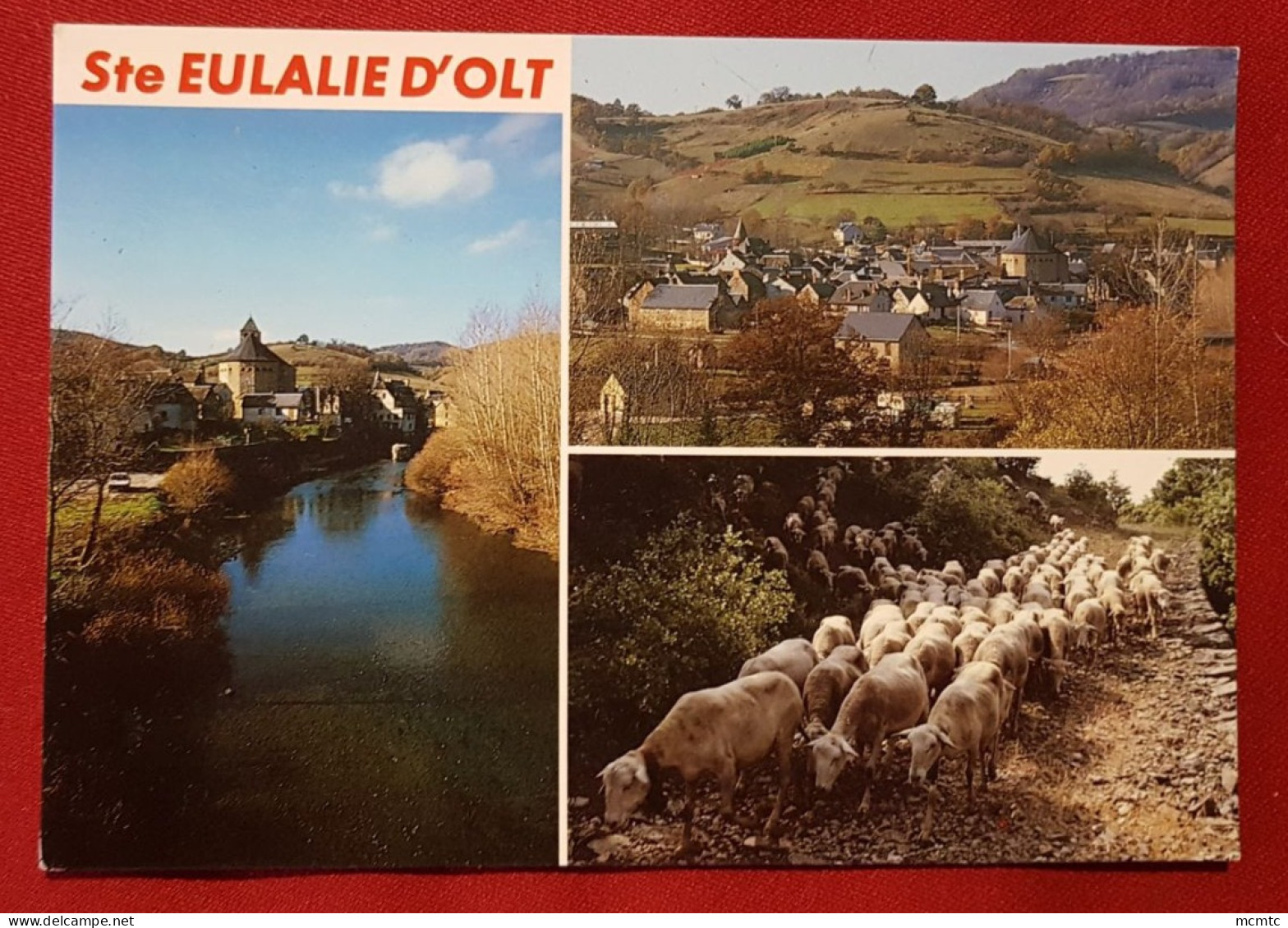 CPM - L'Aveyron - Sainte Eulalie D'Olt - Vue Générale - Le Lot  (mouton, Moutons) - Otros & Sin Clasificación