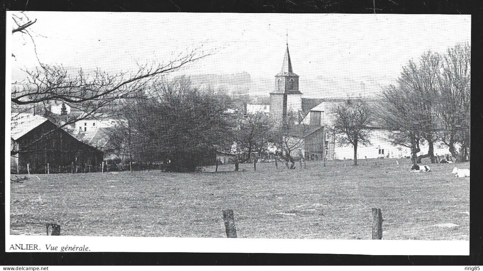 1980  --  BELGIQUE . ANLIER . VUE DU VILLAGE  . 4A771 - Unclassified