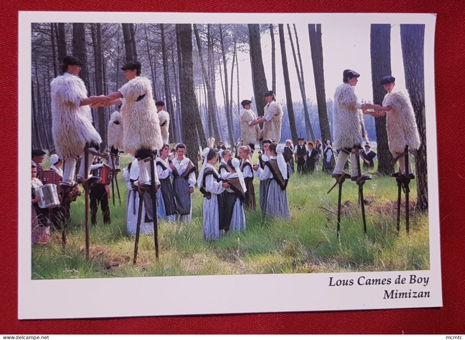 CPM -  Groupe Folklorique - Echassiers Landais - Mimizan - " Lous Cames De Boy " - Mimizan Plage