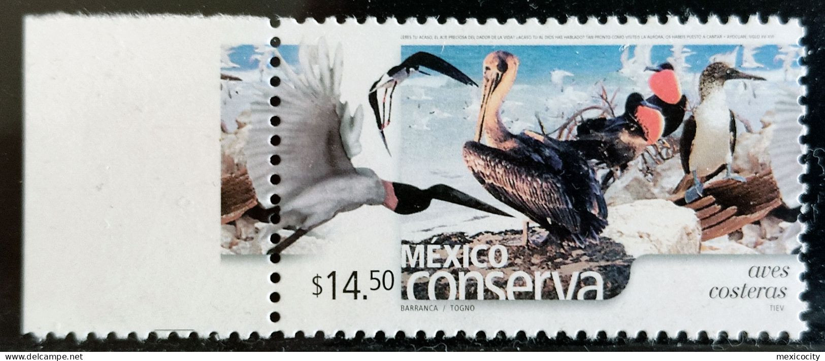 MEXICO $14.50 SEA BIRDS 2005 Beater Series Ltd. Issue, Border Single Mint NH Unmounted - Mexico