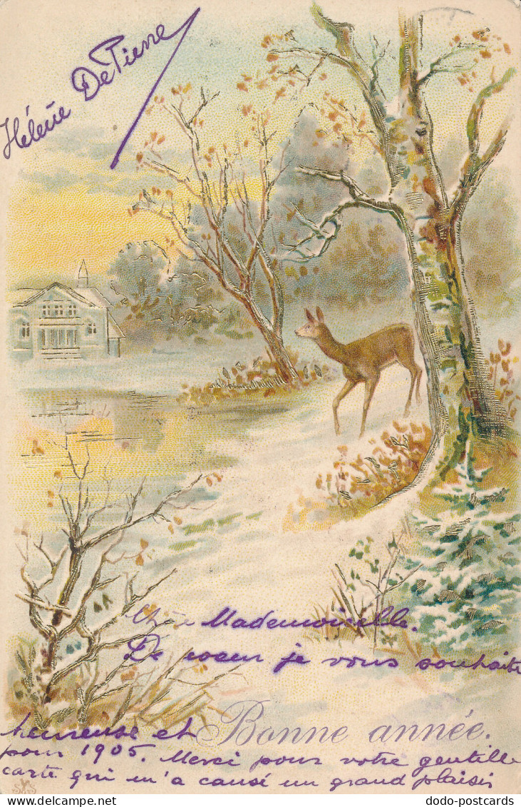 PC42891 Greeting Postcard. Bonne Annee. 1905. B. Hopkins - World