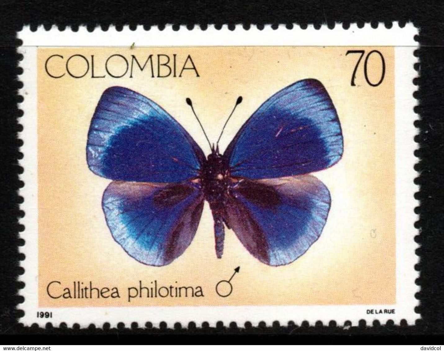03- KOLUMBIEN - 1991 - MI#:1820 - MNH- BUTTERFLY  (CALLITHEA PHILOTIMA)- INSECTS/FAUNA - Kolumbien
