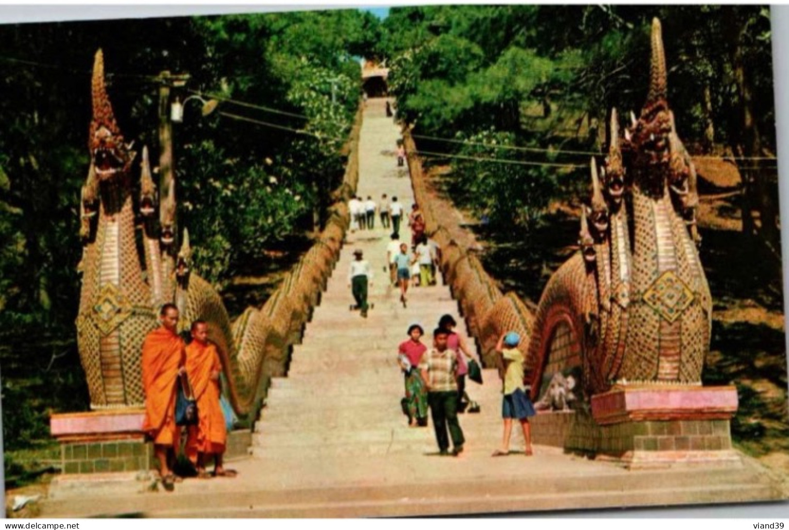 Main Stair To Climb On The Pour ; Thai Dog-Suthep Moutain In Chieng-mai In North Thailand - Thaïlande