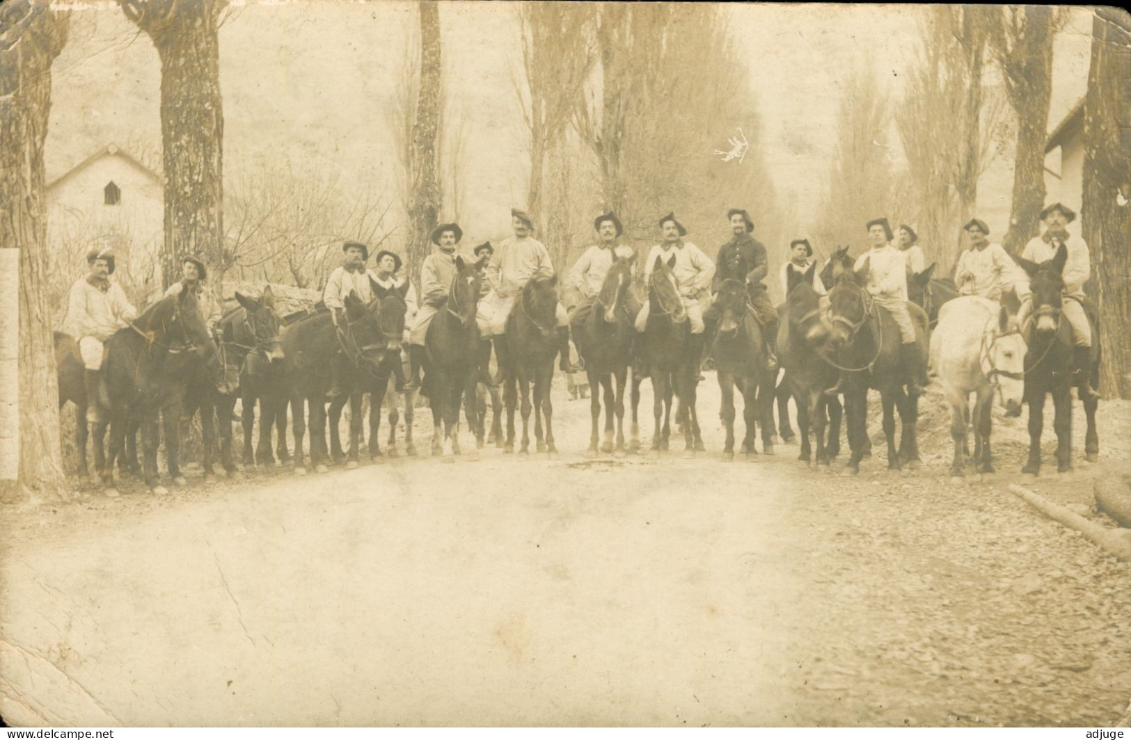 Carte Photo -Soldats - Régiment De Chasseurs Alpins à Cheval  *2 Scans - Regimente