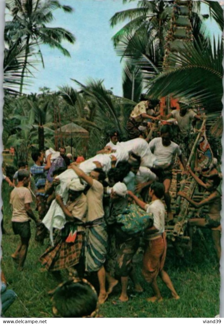BALI. -  Descending Corpse Fron Stand. - Indonesia