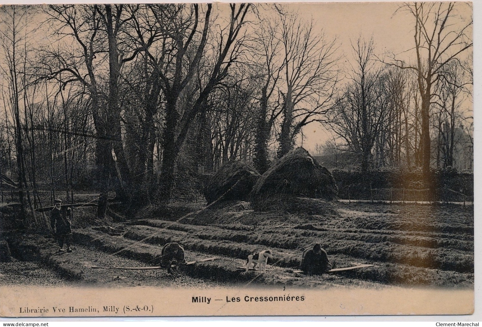 MILLY : Les Cressonnières - Très Bon état - Milly La Foret
