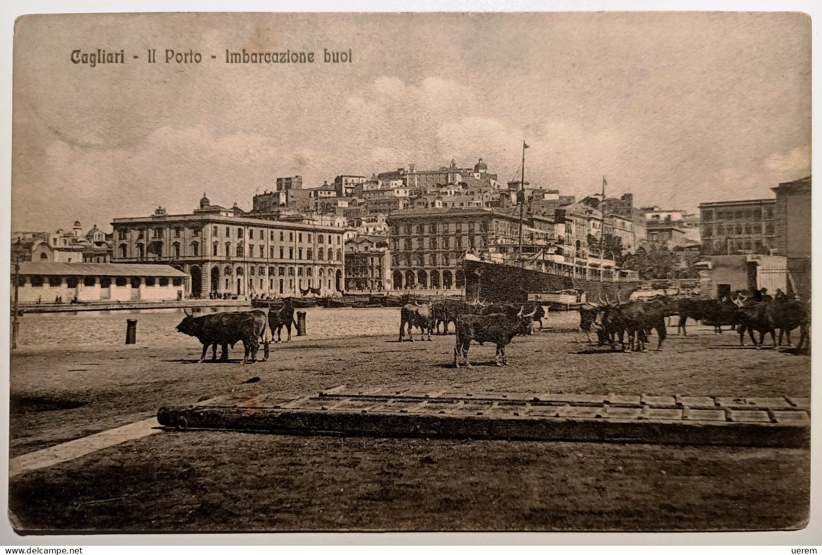 SARDEGNA CAGLIARI IL PORTO IMBARCAZIONE BUOI Formato Piccolo Viaggiata 1914 Da Cagliari A Nuoro Buoi In Primo Piano, Pro - Cagliari