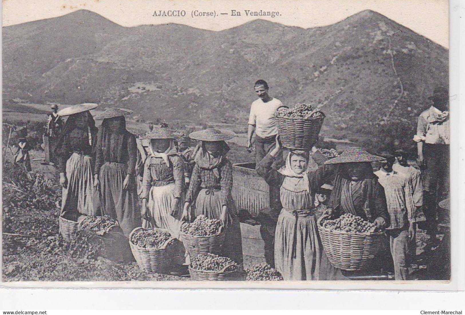 AJACCIO : En Vendange - Très Bon état - Ajaccio