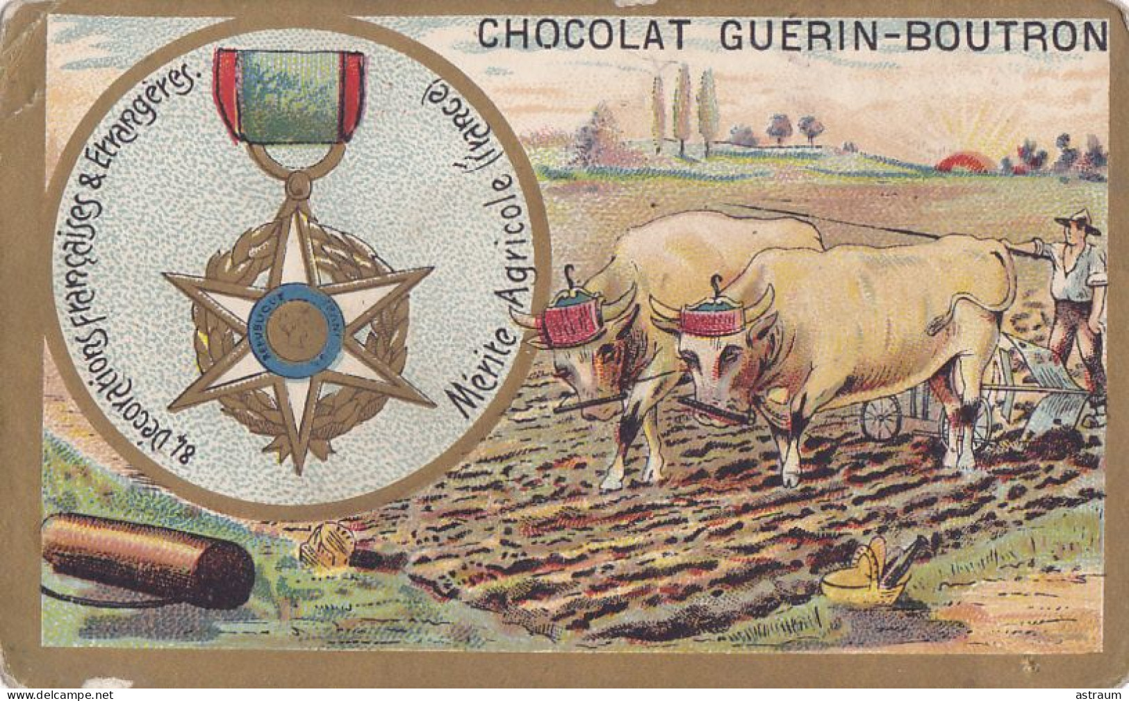 Chromo-publicité -chocolat Guerin Boutron -peu Courante- Decorations - Ordre Du Merite Agricole  ( France ) - Guérin-Boutron