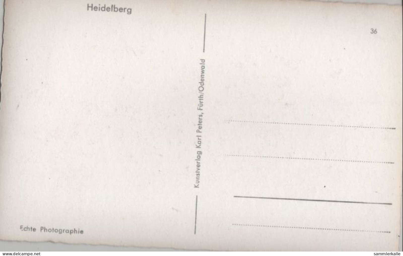 113231 - Heidelberg - Brücke - Heidelberg