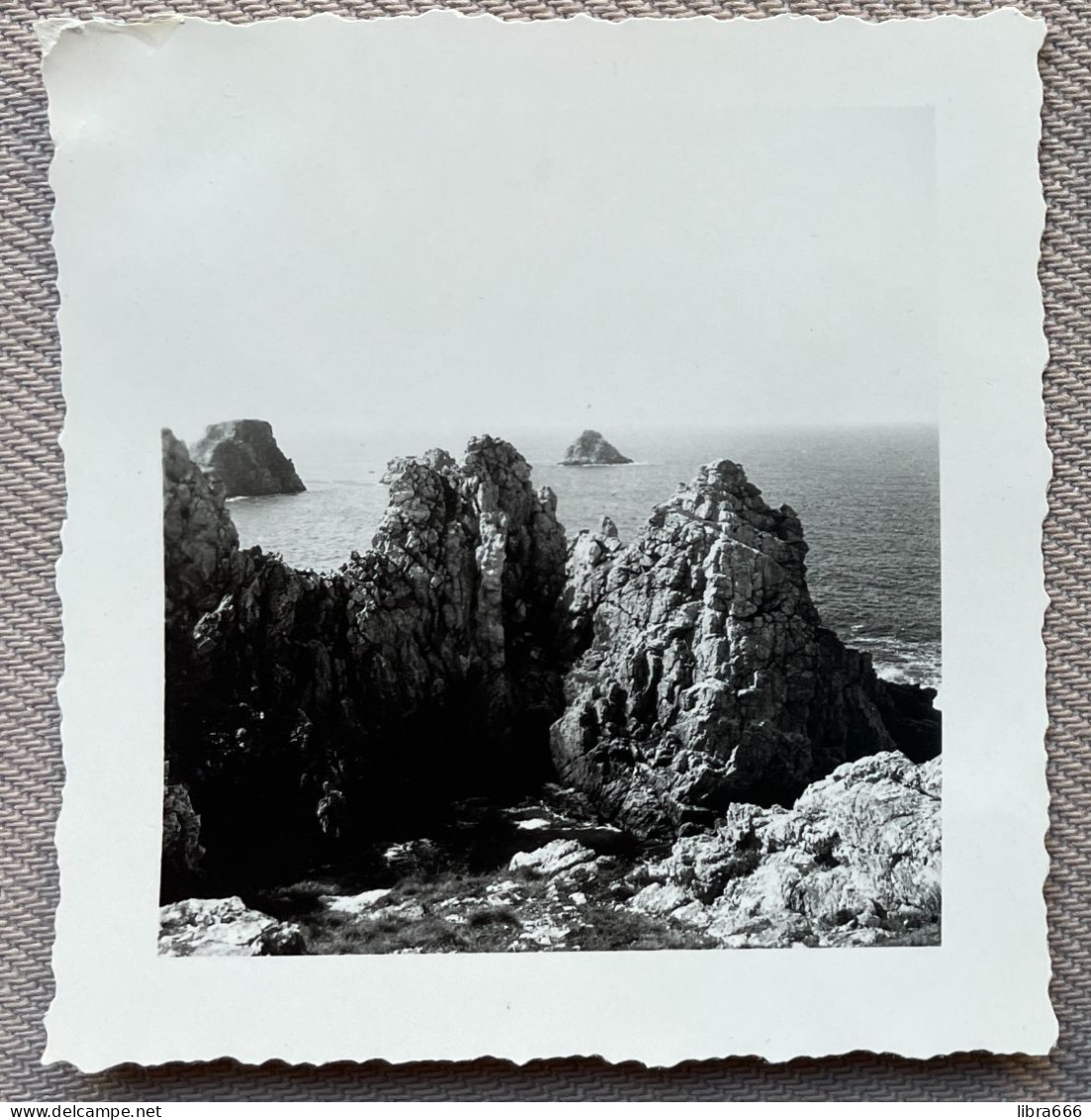 1956 - Photo Originale - POINTE DE PEN-HIR (France) Les Tas De Pois - 6,5 X 6 Cm. - Places