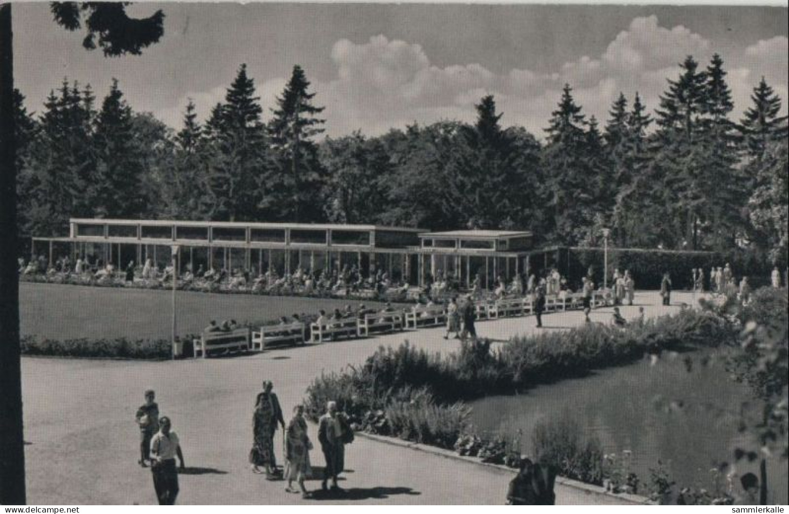 69992 - Braunlage - Im Kurpark - 1964 - Braunlage