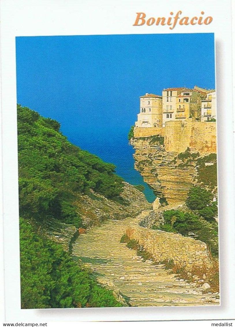 CPM..20..CORSE..BONIFACIO..LES FALAISES ET LA VILLE....BONIFACIO AVEC DEUX CC..SVP - Autres & Non Classés