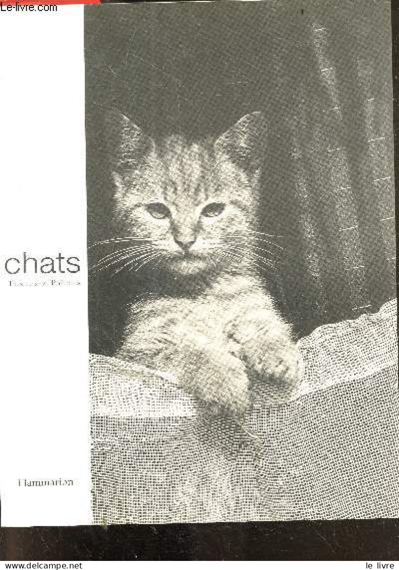 Les Chats - Textes & Poemes - Catherine Laulhère-Vigneau - 2000 - Autres & Non Classés