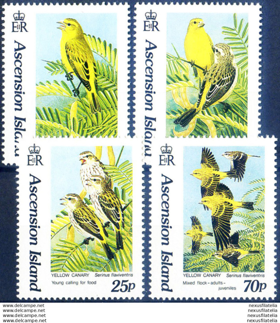 Fauna. Uccelli 1993. - Ascension